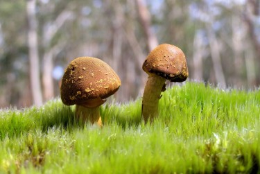 惠州龙门10私人老板放款：轻松融资的秘密通道